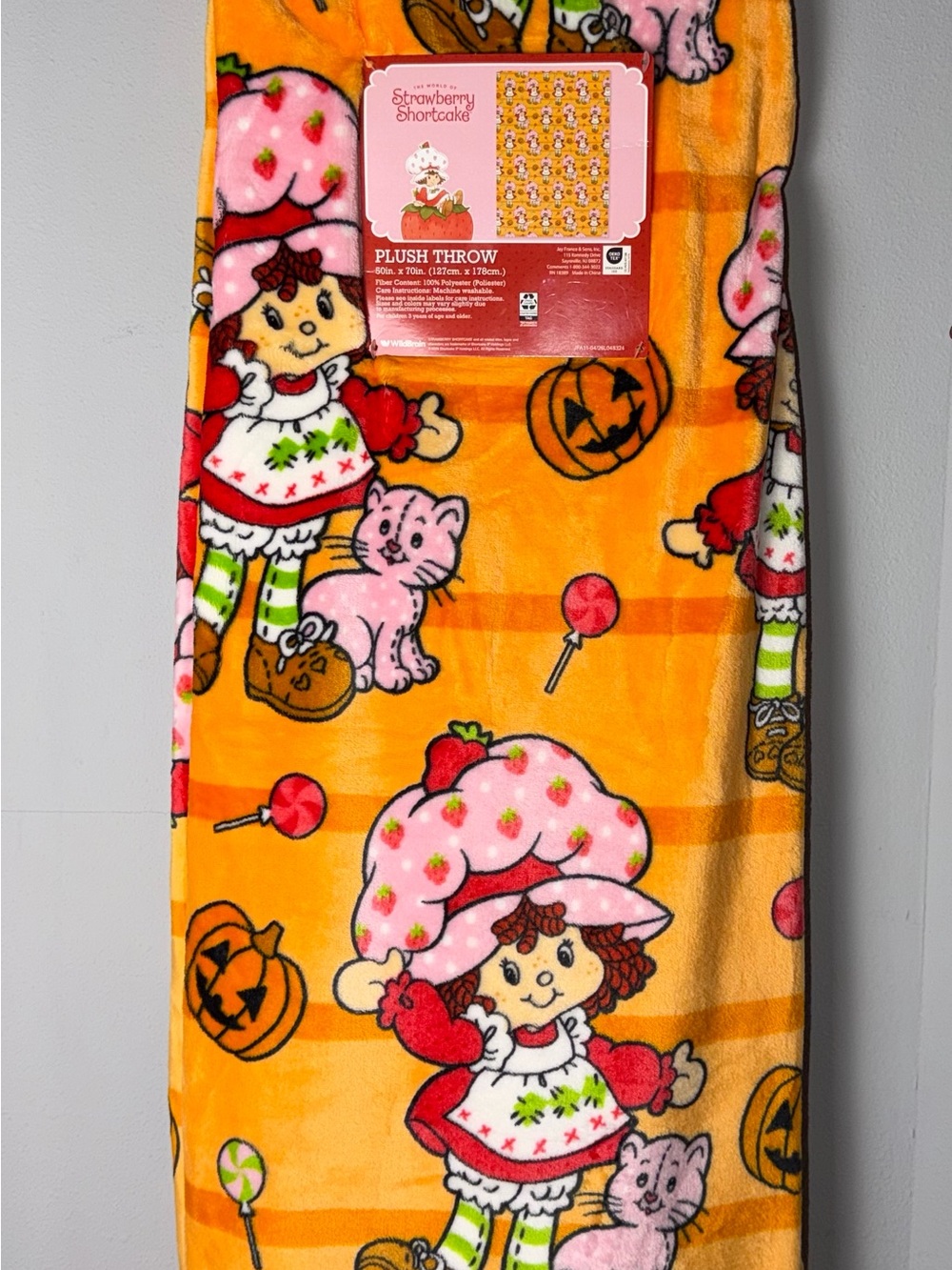 Strawberry Shortcake Orange Plush Throw Blanket - Kids Costume Accent 50 x 70 in